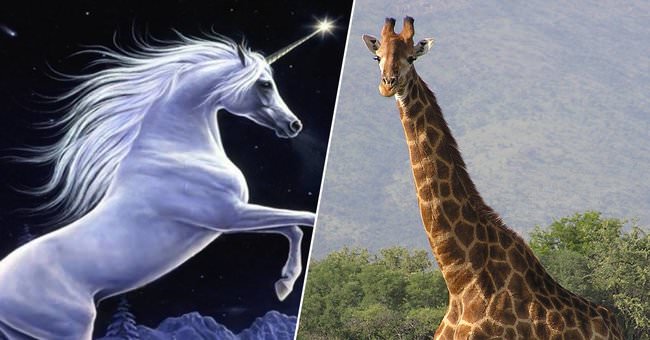 What's More Realistic? A Giraffe or a Unicorn?